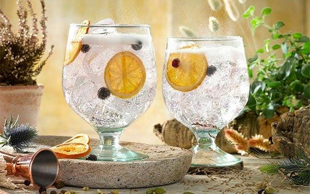 Shivering Mountain Gin Early Harvest Edition and tonic 