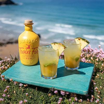 Twin fin cocktail mix 
